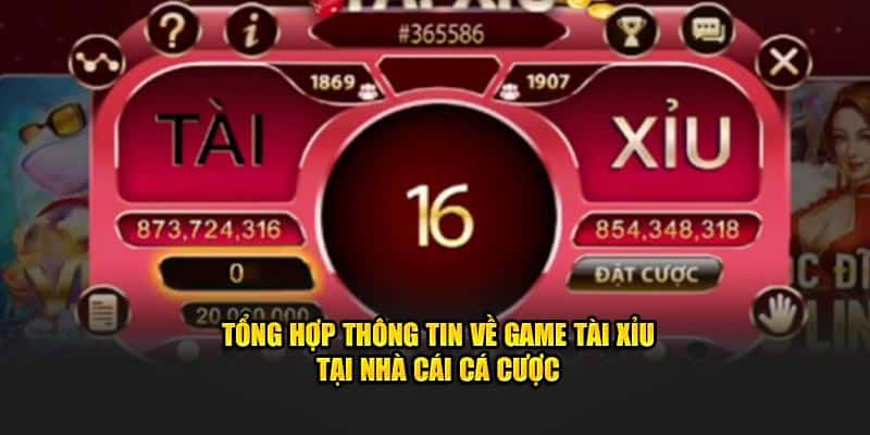 Tổng hợp thông tin về bộ môn giải trí chất lượng tại nhà cái 